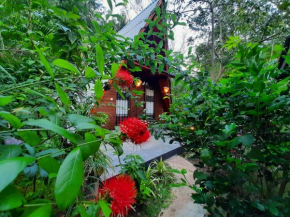 The Otunna Guest House Sigiriya